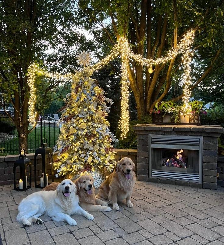 christmas outdoor decor