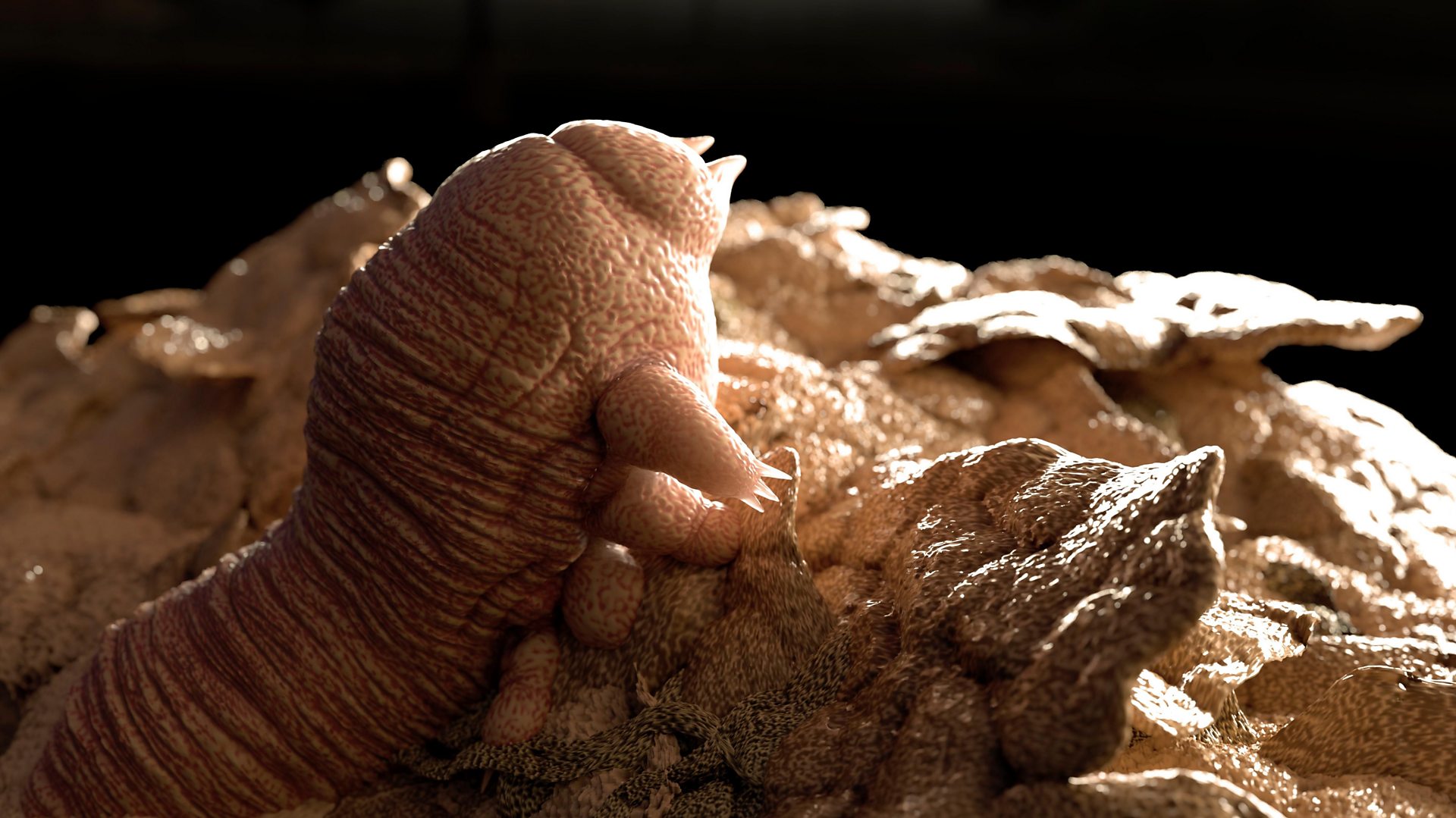 Beyond the Naked Eye: Visualizing Dust Mites